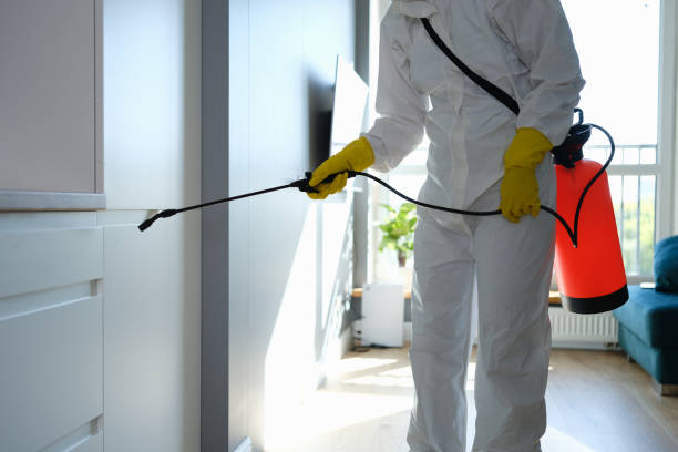 Best Asbestos and Lead Testing During Mold Inspection  in Forrest City, AR