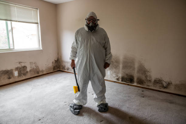 Best Mold Odor Removal Services  in Forrest City, AR